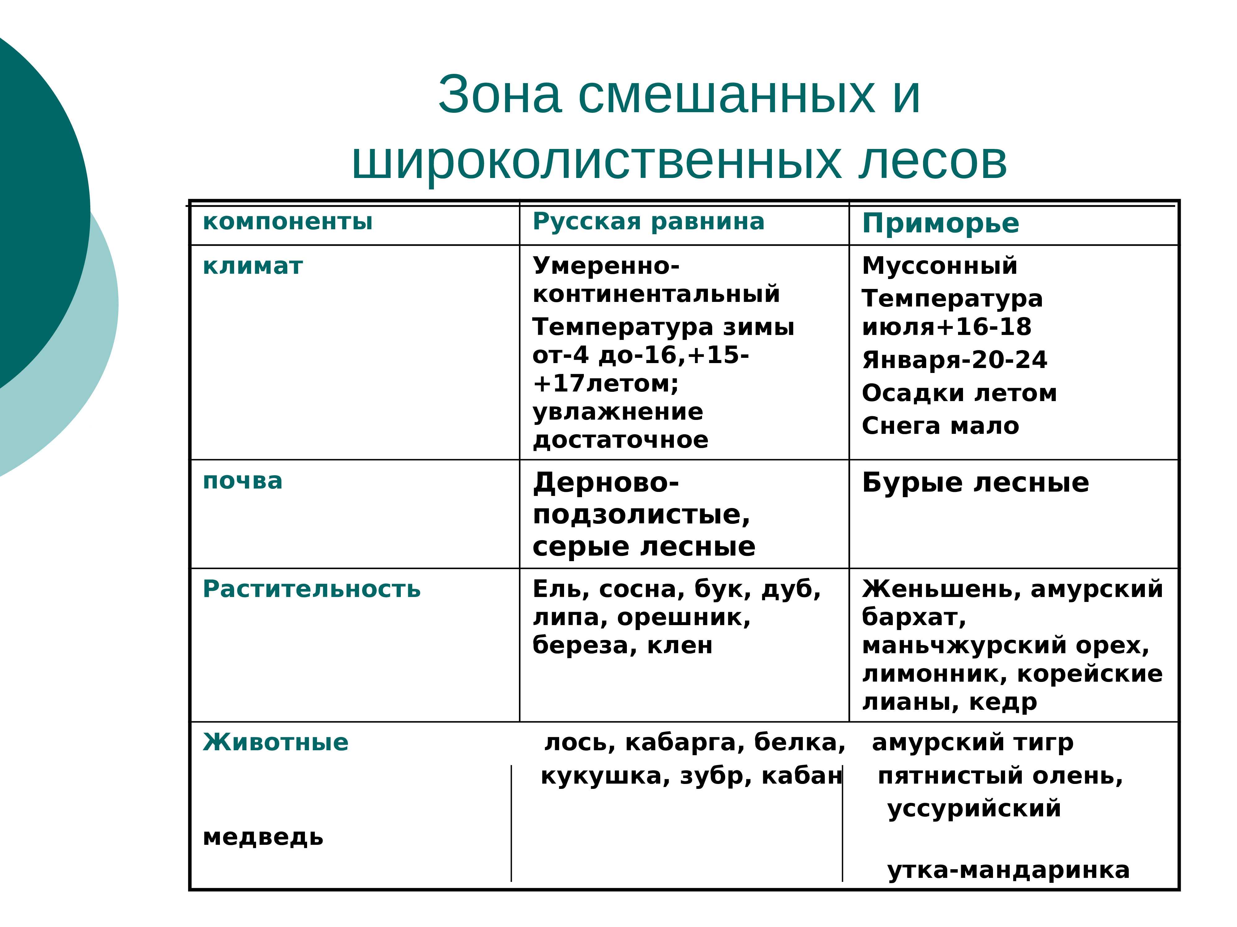 Лесная природная зона: типы тайги, смешанные, широколиственные леса и их характеристика