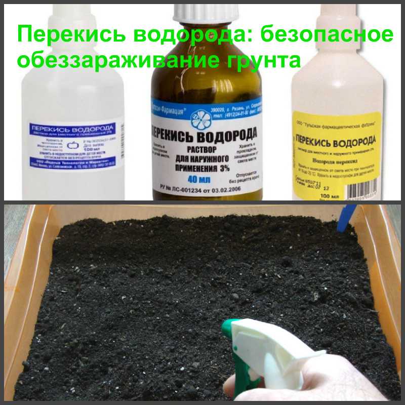 14 действенных способов борьбы с сорняками: от сидератов до народных методов