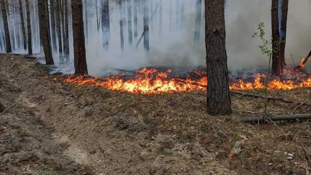 Пожароопасность фрезерного торфа | хранение угля и торфа на тэс