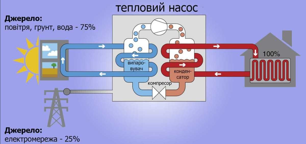 Сушка винограда в домашних условиях