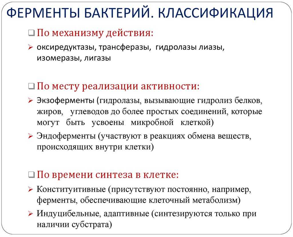 Ферменты⭐: характеристика, значение, виды ферментов и их функция в биологии