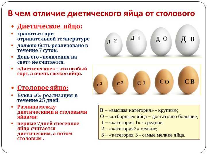Яйцевые оболочки : энциклопедия бсэ -  alcala.ru