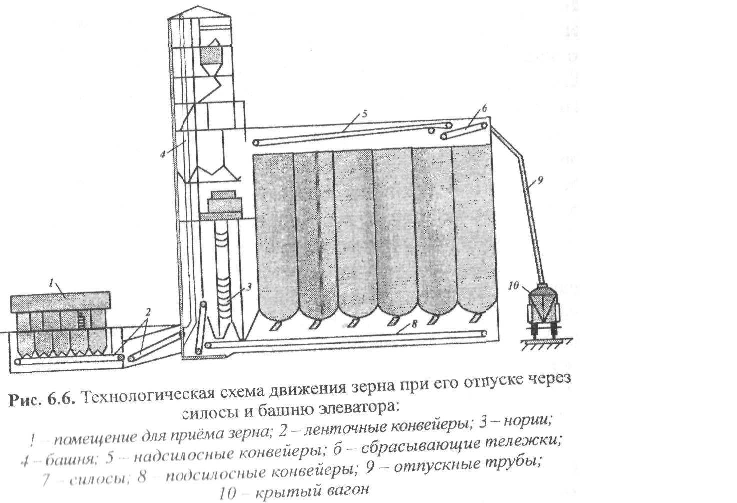 Нория в зернопереработке. какой тип устройства эффективней?