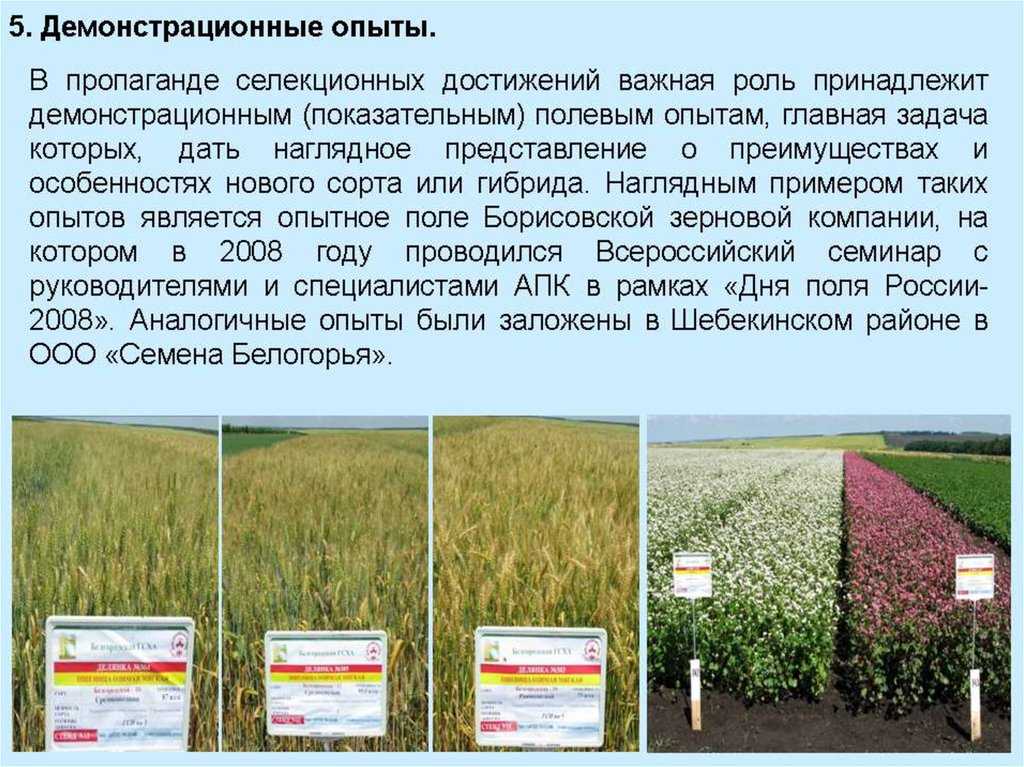 Методика определения качества полевых работ