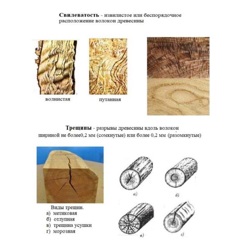 Пороки строения древесины. пороки строения древесины можно разделить на 7 групп: 1.неправильное расположение волокон и годичных слоев 2.реактивная древесина. - презентация