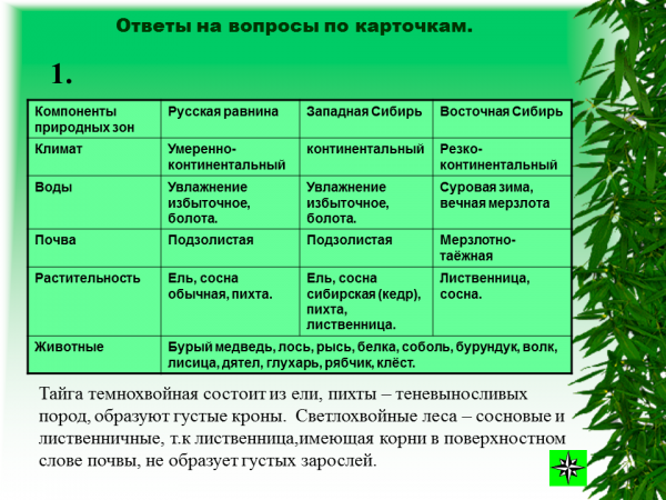 Морская фауна