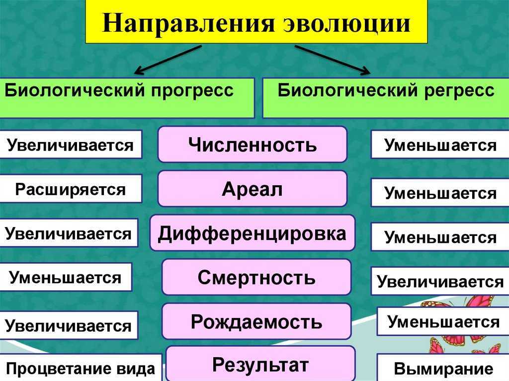 Эволюция. лекция n 3 элементарные эволюционные факторы. наследственная изменчивость. естественный отбор. - презентация