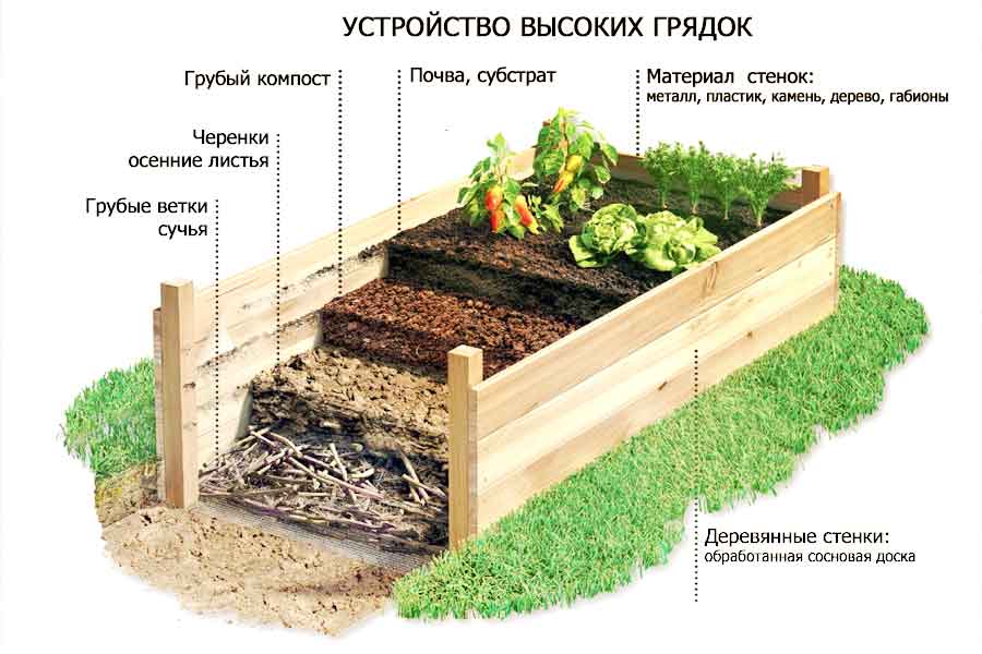 Химический состав почв - микроэлементы, режимы питания
