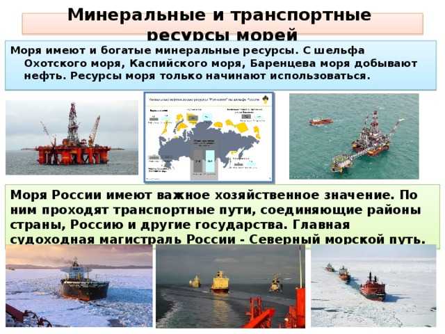 Ресурсы охотского моря (9 фото): хозяйственное использование человеком, биологическая деятельность, полезные ископаемые, значение для людей
