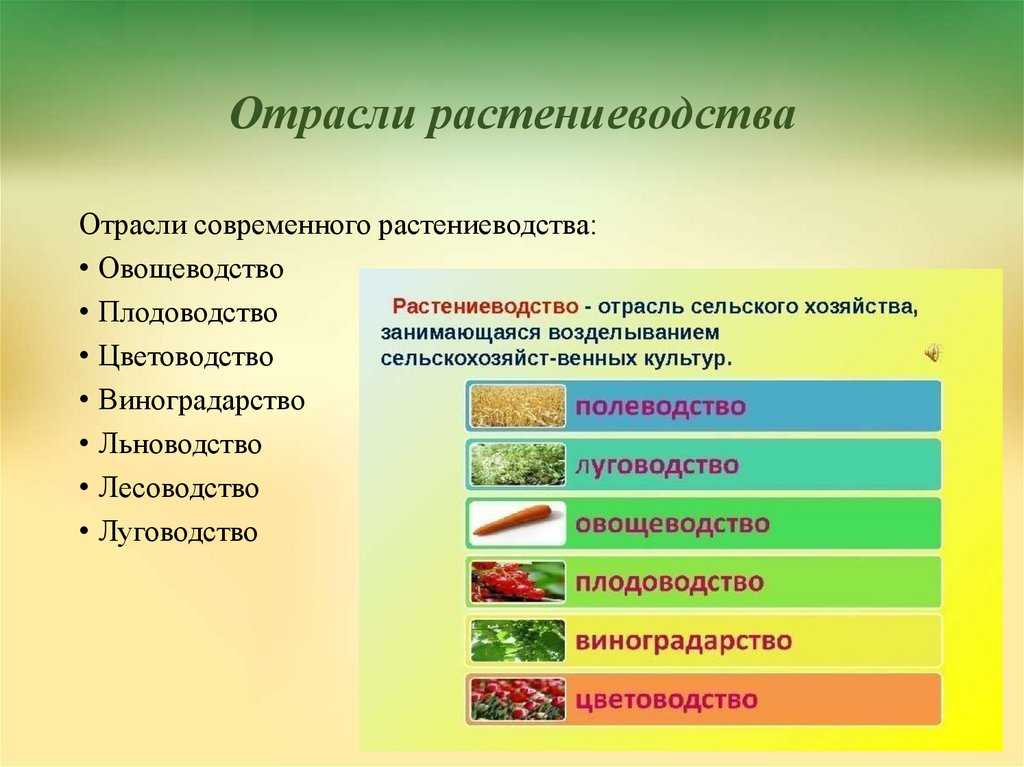 Классификация сена по ботаническому составу. его характеристика и питательная ценность