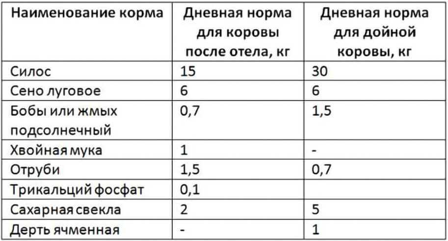 Кормление козлят с первых дней жизни: таблица примерного рациона питания