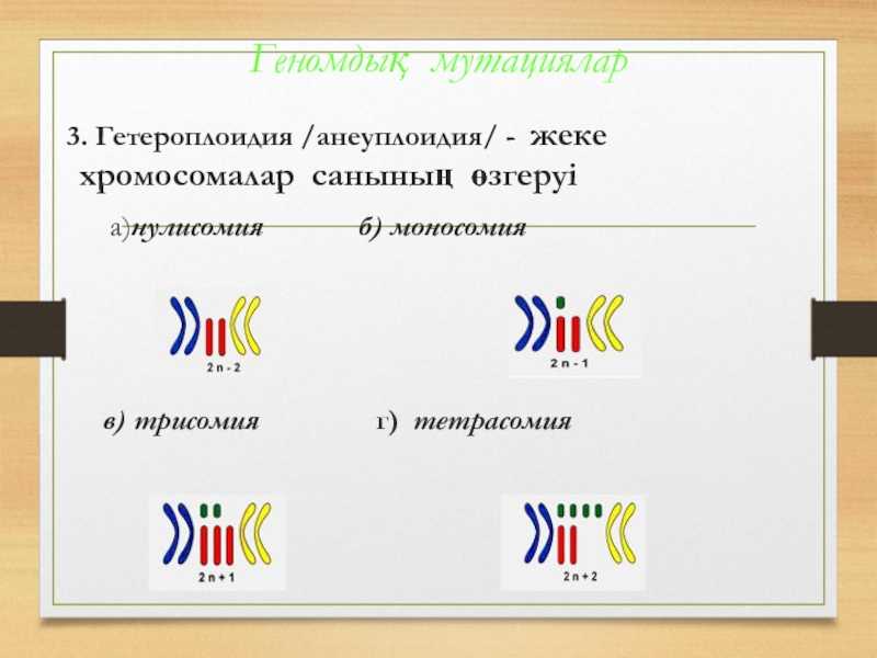 Биология. 11 класс