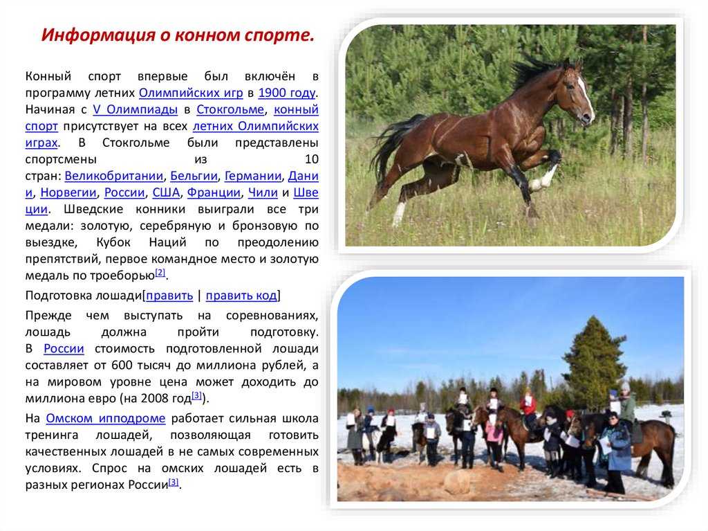 Перспективы конного спорта и туризма [1990 кожевников е.в. гуревич д.я. - отечественное коневодство: история современность проблемы]