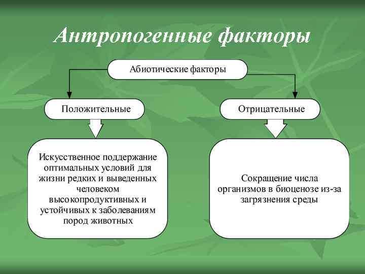 Презентация на тему: "изучение влияния абиотических и антропогенных факторов на растения в городе» «изучение влияния абиотических и антропогенных факторов на растения в городе»". скачать бесплатно и без регистрации.