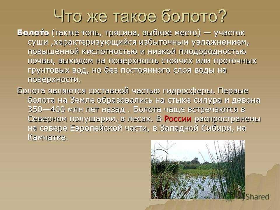 Как создать болото в майнкрафте