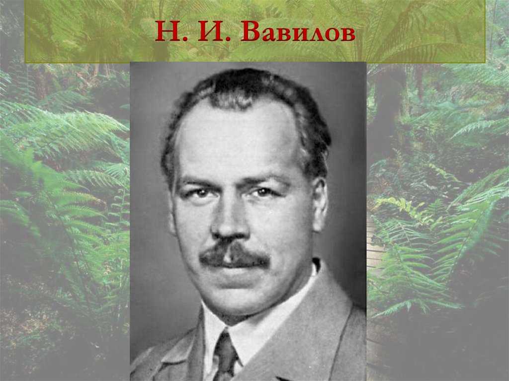 Николай иванович вавилов