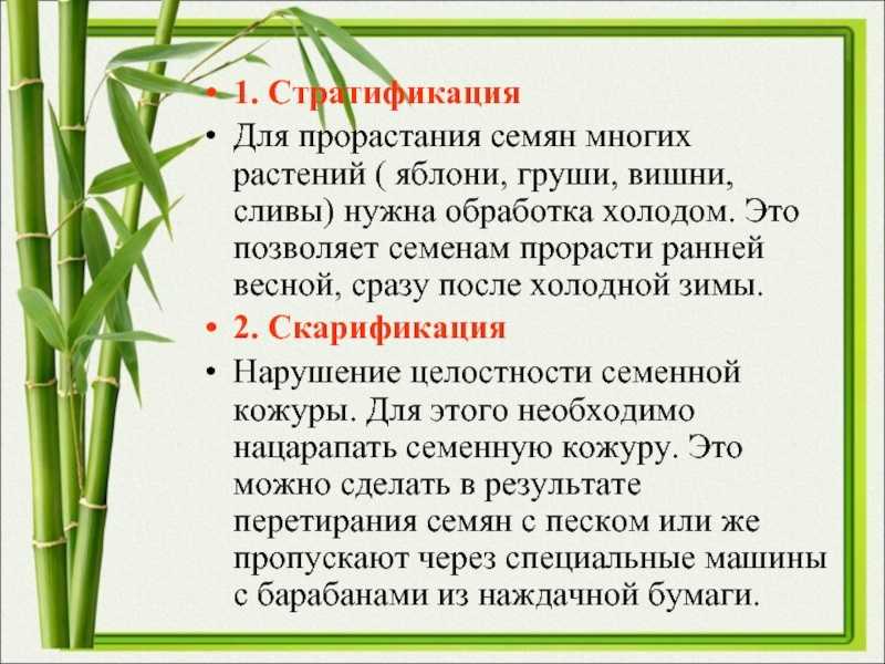 Покой - семя
 - большая энциклопедия нефти и газа, статья, страница 1