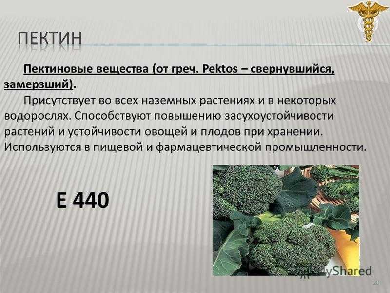 Определение засухоустойчивости сортов пшеницы методом т. олейникова, н. кожушко и ю. осипова | авторская платформа pandia.ru
