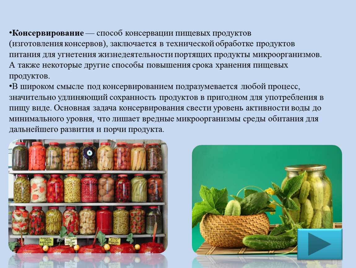 Обзор технологии и организации работ в растениеводстве | cельхозпортал