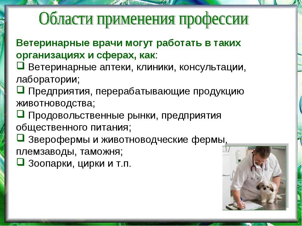 Анатомотопографическое обоснование гастротомии у собак - автореферат диссертации по ветеринарии скачать бесплатно на тему 'ветеринарная хирургия', специальность вак рф 16.00.05