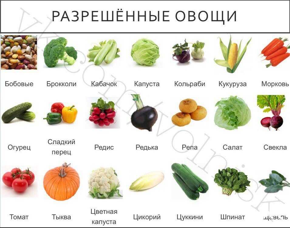 Можно ли кроликам давать огурцы, кабачки, тыкву