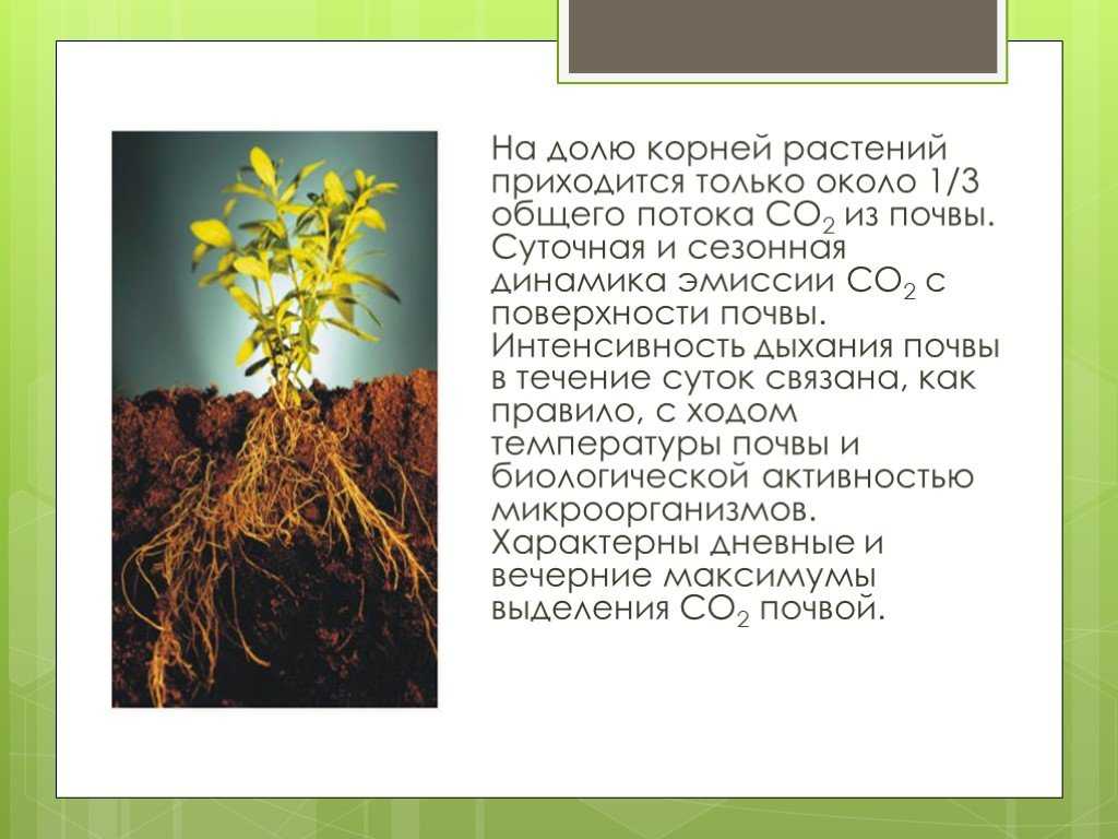 Тепловые и воздушные свойства почвы
