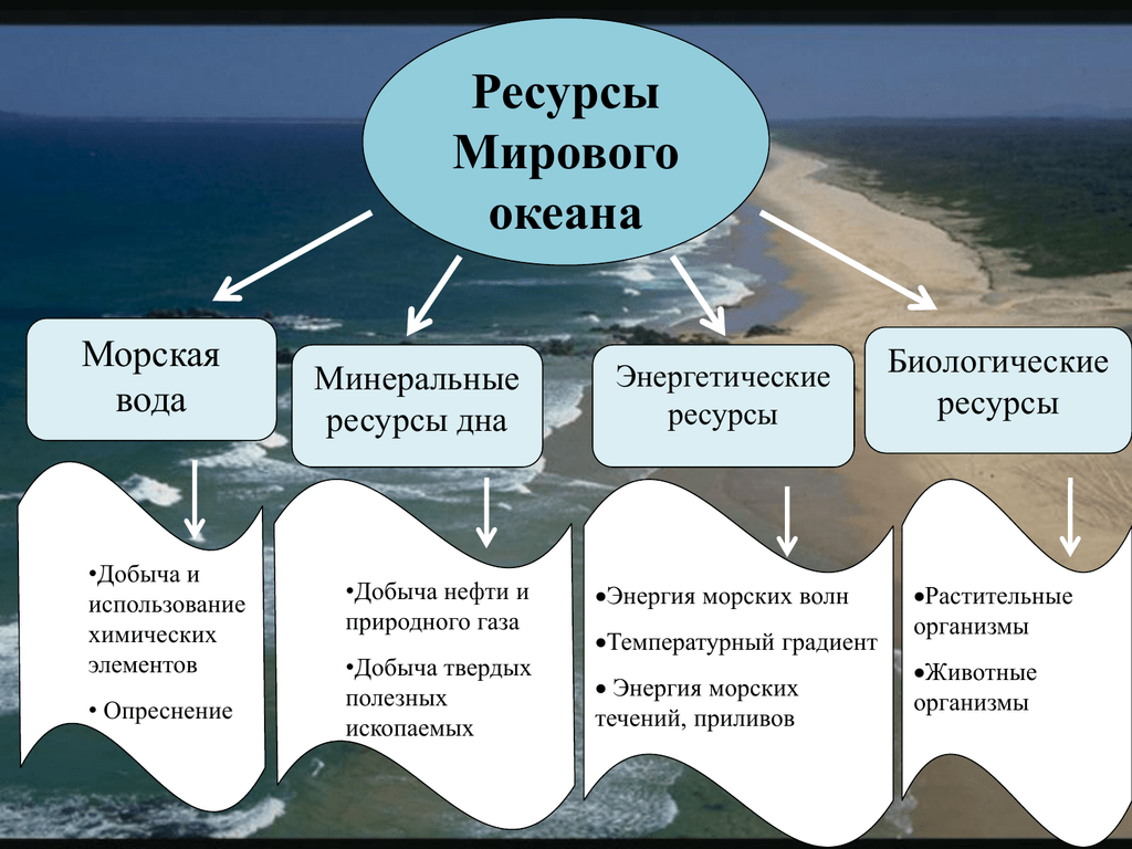 Минеральные ресурсы океанов