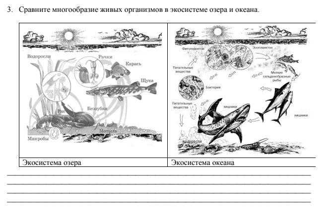 Экосистема