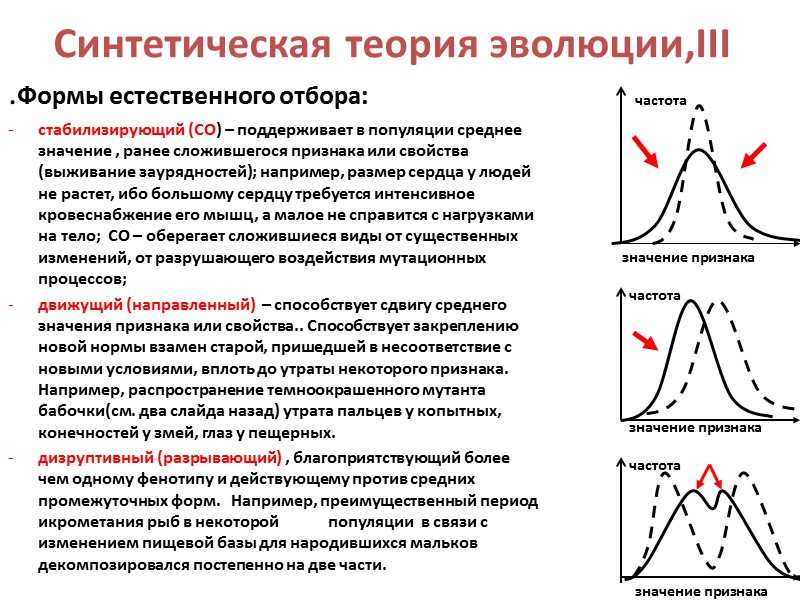 Контрольная работа: основные положения теории естественного отбора | контрольная - studrb.ru