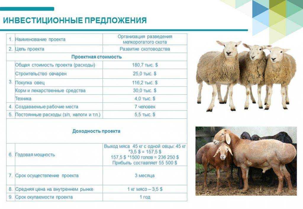 Скрещивание — энциклопедия «знание.вики»