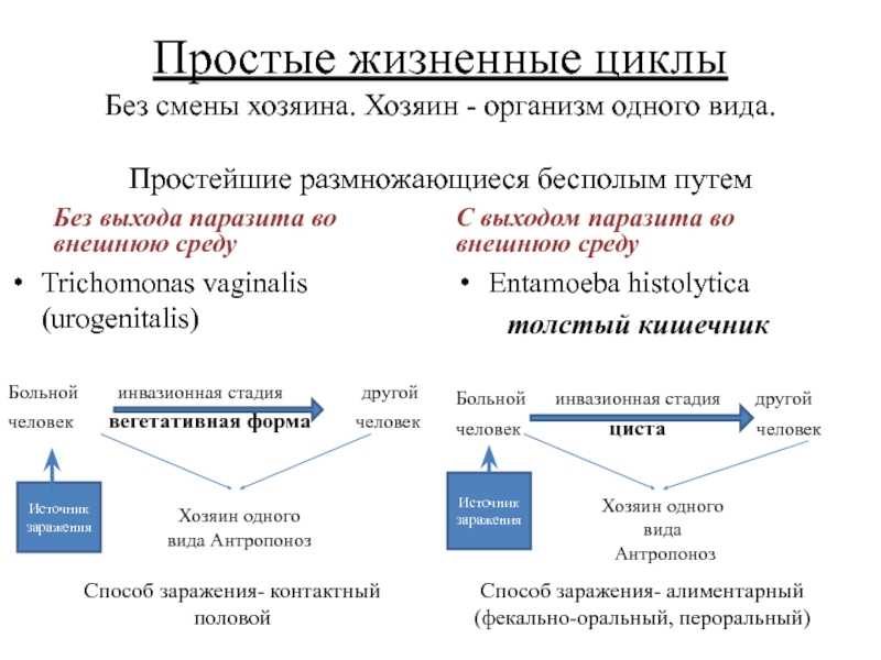 Взаимоотношения в системе паразит-хозяин - паразитизм и паразитарные болезни человека - биоценотический уровень организации живого - учебник биология - чебышев н. в. - вунмц 2000