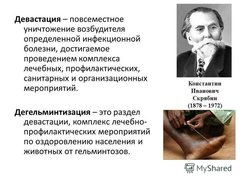 Краткие данные о паразитах и вызываемых ими болезнях. ветеринарная паразитология кратко