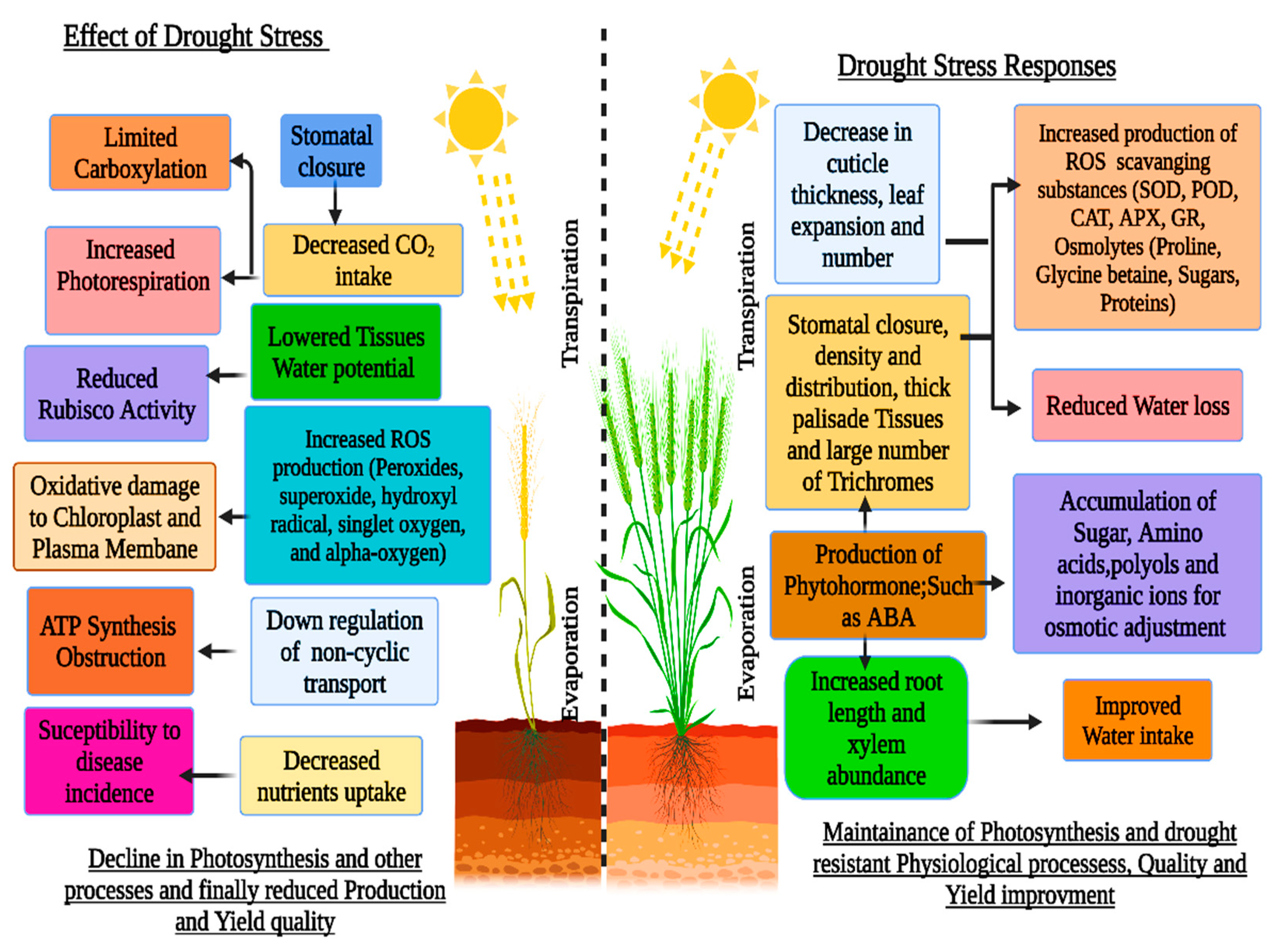 Biogenic stress in plants - tarchevsky - kazan medical journal