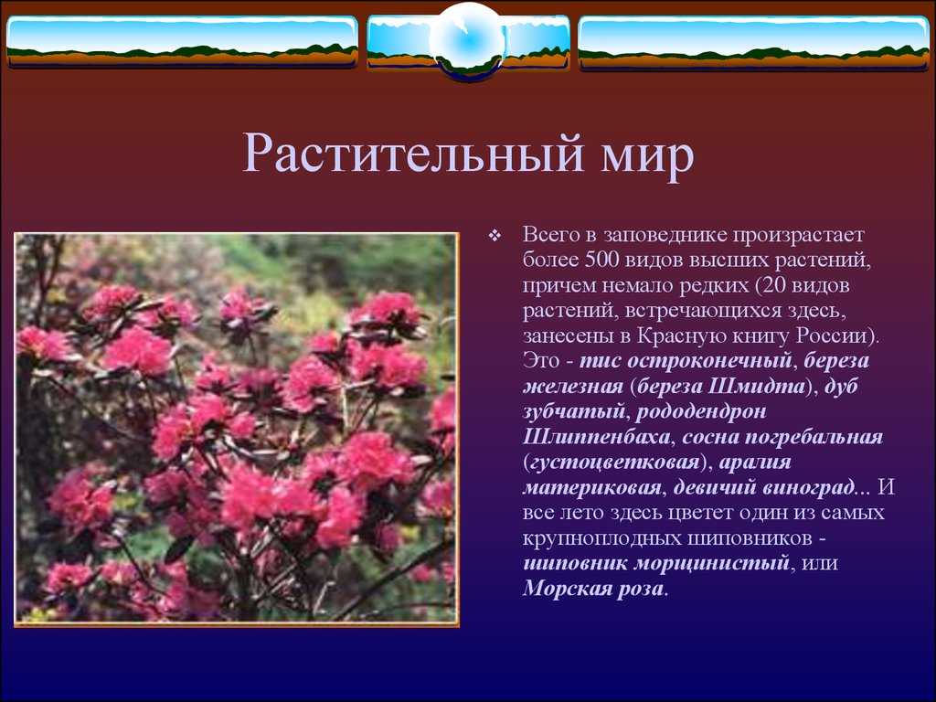 Охрана окружающей среды дальнего востока