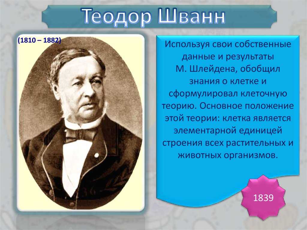 Сообщение о шванн теодор немецкий ученый