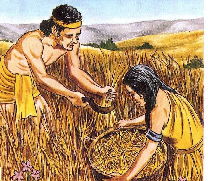 История сельского хозяйства: от зарождения до наших дней. - наука - 2023