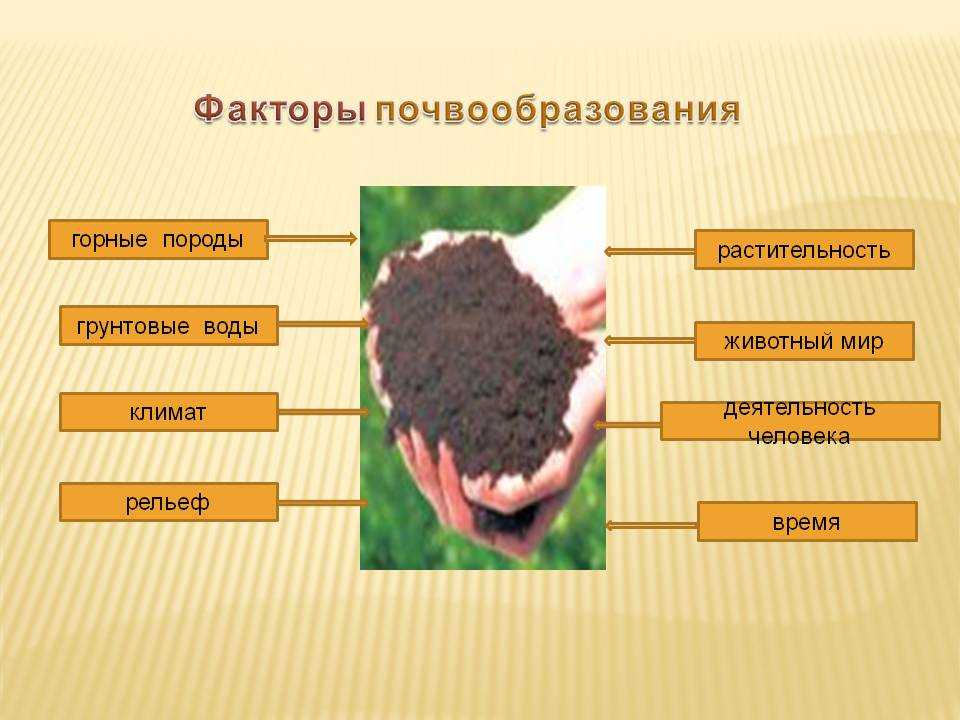 Почвоведение