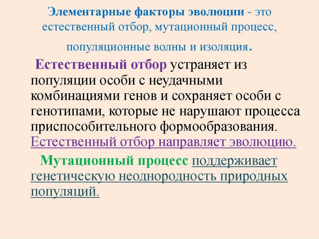 Естественный отбор