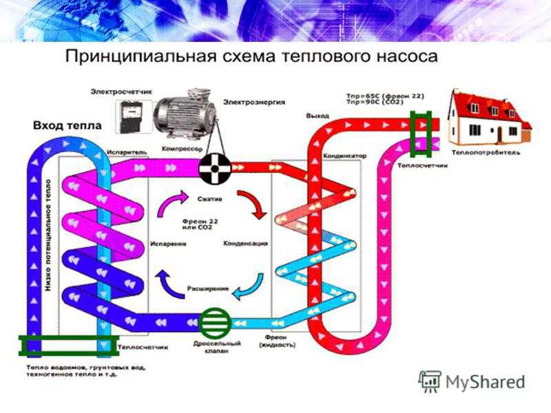 Читать 👀 онлайн 📲 виноградарство, под ред. к.в. смирнова | технология воздушно-солнечной сушки без регистрации