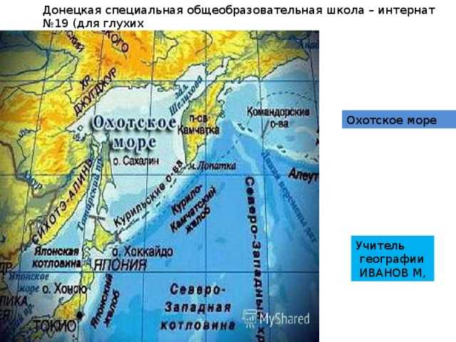 Охотское море на карте, характеристика, флора и фауна