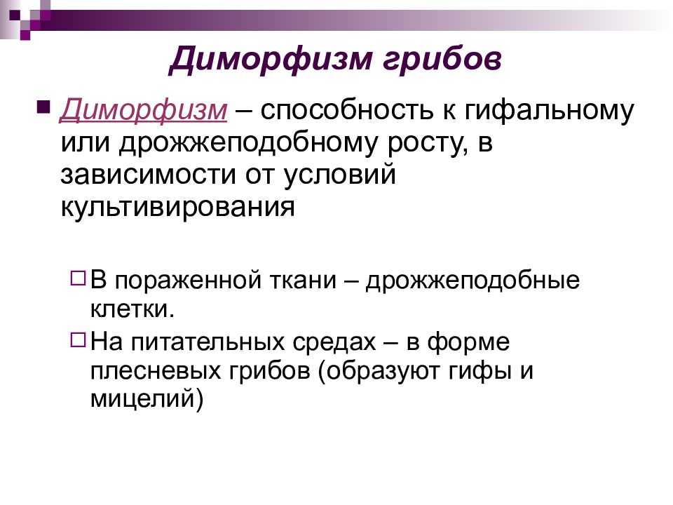 Какова разница между плеоморфизмом и полиморфизмом? - on secret hunt