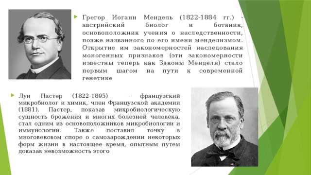 Цитология ‒ наука про строение клеток