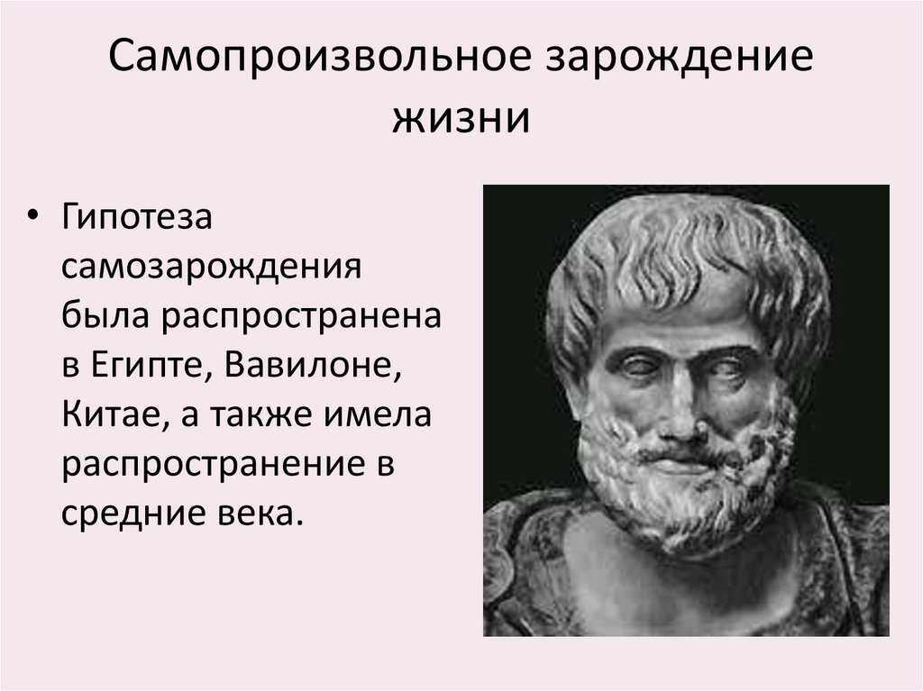 Rumagic.com : доказательства невозможности самозарождения жизни : а фомин : читать онлайн
