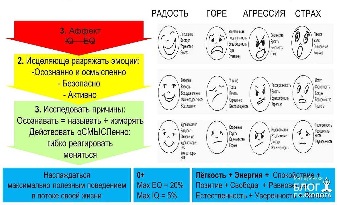 Проектная исследовательская работа на тему «эмоции и чувства у животных и человека»