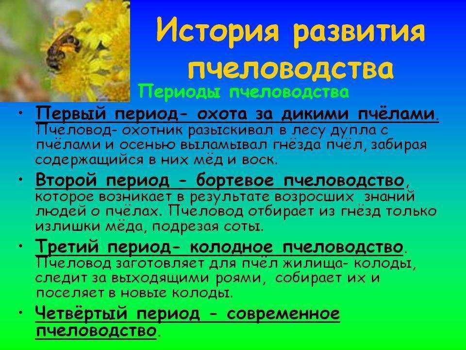 История развития пчеловодства в мире