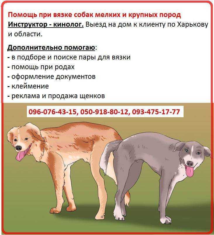 Суперфетация у людей: понятие, причины и последствия