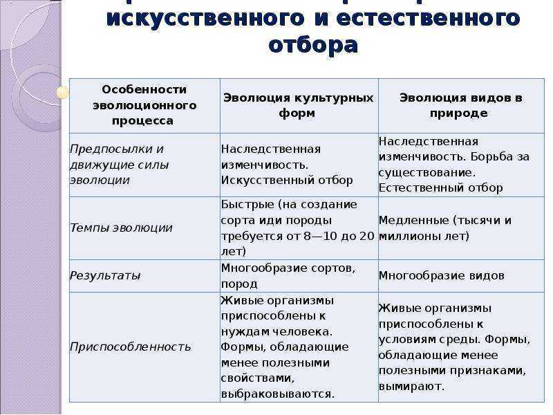 Искусственный отбор
