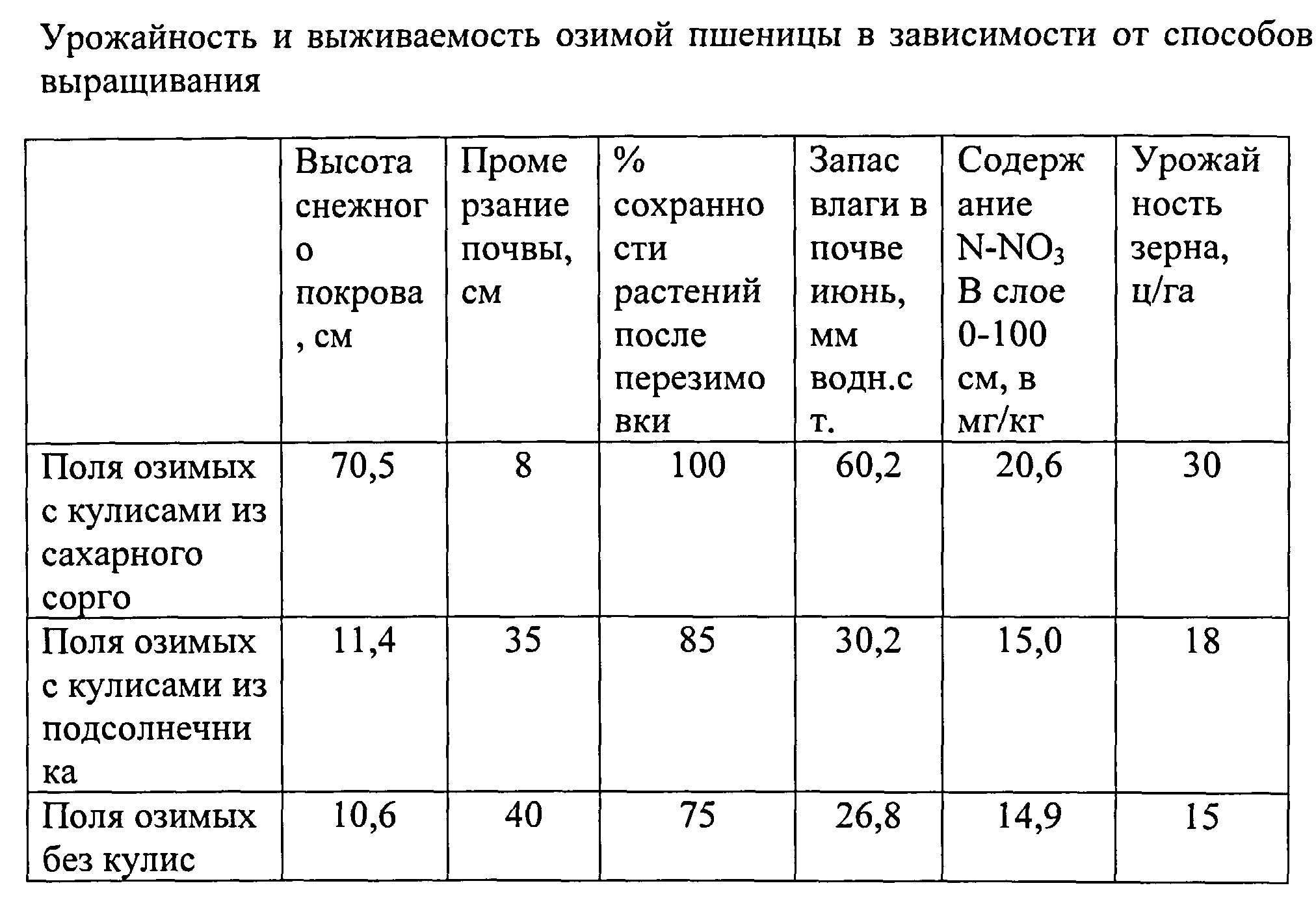 Посев озимой пшеницы: сроки, нормы, удобрения, подготовка и уход