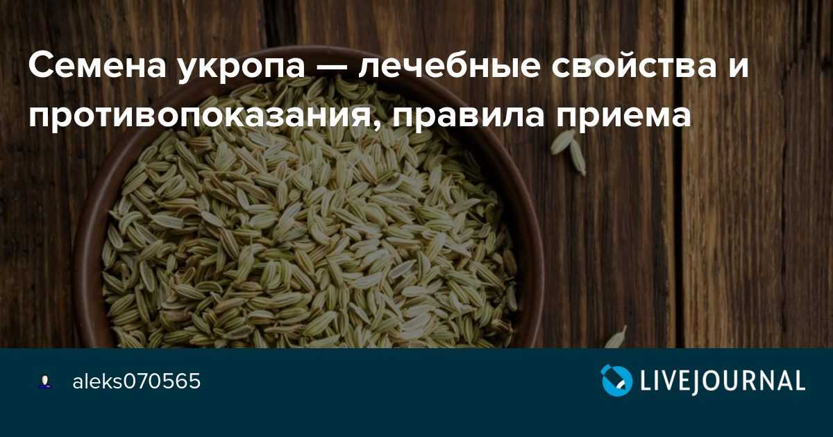 Как выглядит укроп огородный, что такое укроп пахучий: плоды, семена, листья, соцветия