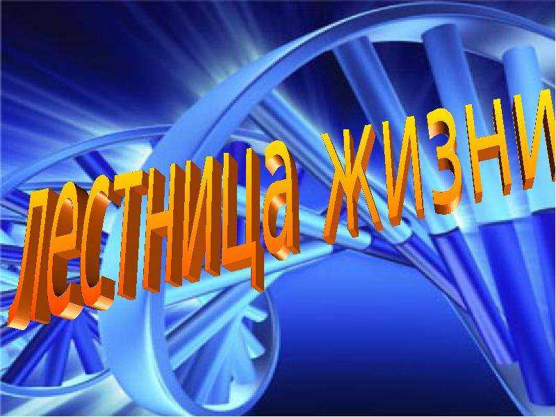 Лествица иоанна лествичника: книга полезная для обычного человека - краткое чтение